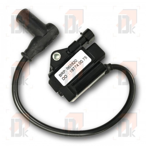 Bobines d'allumage - ROTAX - FR362.013 | Direct-karting.com