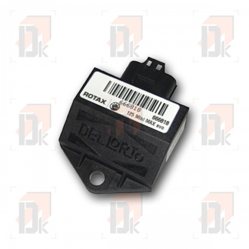 Boîtiers d'allumage - ROTAX - FR362.021 | Direct-karting.com