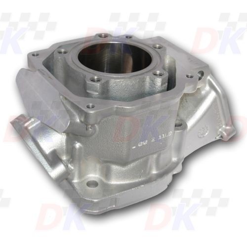 Cylindres moteur - ROTAX - Rotax Max Junior | Direct-karting.com