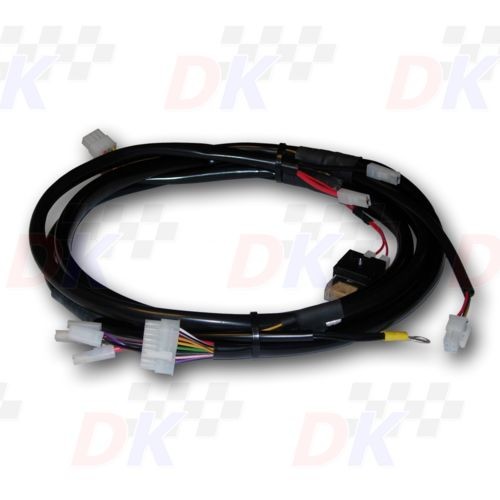 Imbracature di accensione - PVL - KF1 | Direct-karting.com