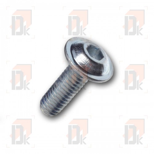 Accessori per l'accensione - ROTAX - M6x20 | Direct-karting.com