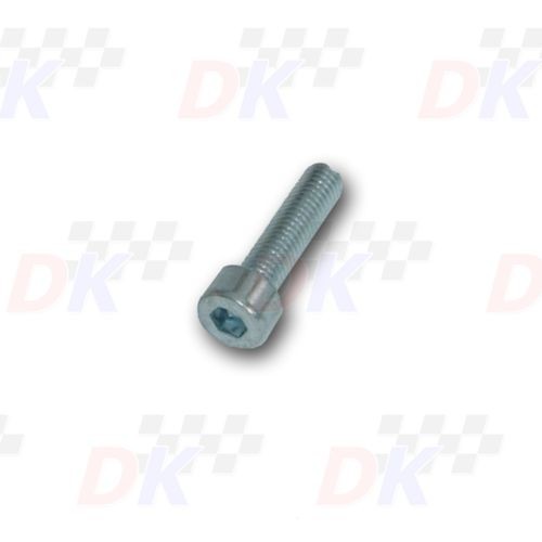 ROTAX Carburettor VHSB34 - DELL'ORTO - CHC | Direct-karting.com