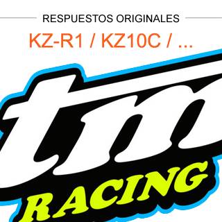 respuestos-originales-tm